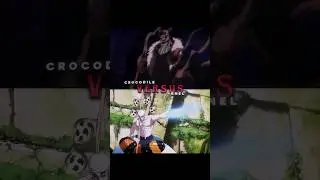 Fujitora vs Law || Crocodile vs Enel #onepiece