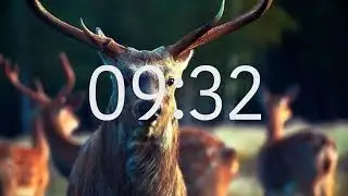 animal lover Park Animal Official #park some deer and some running horses 