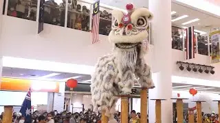 Acrobatic Lion Dance - Western Australia Chung Wah Dragon and Lion Dance  Troupe - 西澳中華會館龍獅團