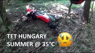 TET Hungary section