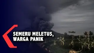 Gunung Semeru Meletus, Warga Panik Dan Mengungsi