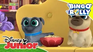 Bingo y Rolly: ¡Imita y encontrarás! | Disney Junior Oficial
