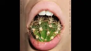 SPUD CANNON - Ow Ow Ow