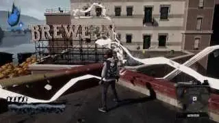INFAMOUS SECOND SON 