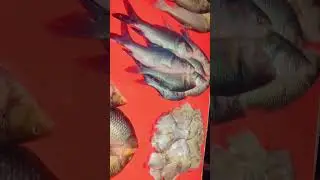 karachi manora fish market #khi