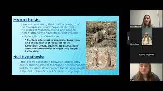Biology 2 - Biodiversity Project - Colombian Ground Squirrel
