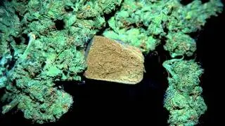 Mel Thomas: Cannabis Cultivation