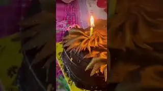 my birthday 12 November 🤗🤩🎂🤣😍