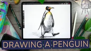 Spectacular Penguin Drawing on a Tablet #drawingtutorial