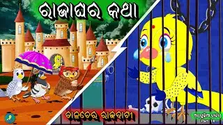 Angulia Birds Part 14 || Raja Ghara Katha