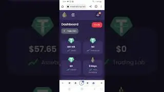 Tradeit.biz Live Review Make 4% Daily OTC Platform Cotps not paying rug pull