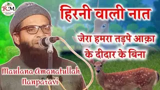 Hirni Wali Naat || Maulana Amanatullah Nanparavi || Jalsa Pathan Purwa Sabla Pur Jila Bahraich