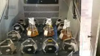 Bioremediation: Microbial Degradation of Waste Engine oil Day 1B