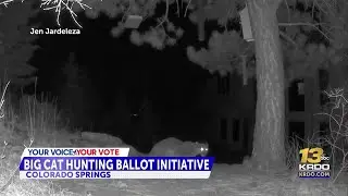 Initiative to ban mountain lion & bobcat hunting makes Colorado ballot