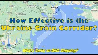 How Effective is the Ukraine Grain Corridor: How Many Ships & How Many Tons of Grain?
