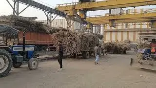 U.P. STATE CANE DEVELOPMENT & CORPORATION LIMITED MUNDERWA SUGER FACTORY BASTI. 