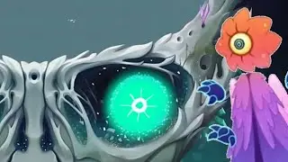 Bone Island Auglur