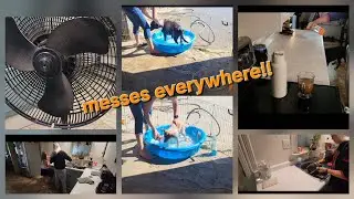 Productive Cleaning Day | Dog Bath + Kitchen & More