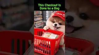 Dog Circle K Employee 🐶🏪 On Checkout Duty