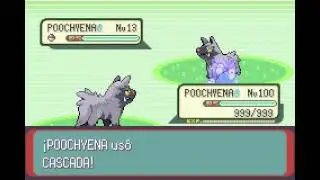 POKEMON EMERALD | POOCHYENA | CASCADA | WATERFALL