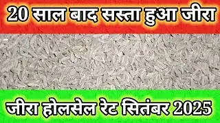 जीरा होलसेल रेट सितंबर 2025 . 20 साल बाद सस्ता हुआ जीरा । cumin wholesale rate 