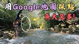 【飛釣探點】Google地圖盲測神釣點！魚大又多到驚人？拋開喧囂，在荒野溪流找回靈魂的節奏｜Maxcatch｜永裕｜#fishing #fishinglife #熱門