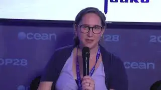 The Role of Industry in the Ocean Decade Data Enterprise