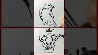 Which one do you like better