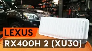Jak wymienić filtr powietrza / filtr silnikaw w LEXUS RX400h 2 (XU30) [PORADNIK AUTODOC]