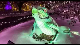 Snowy Night at the PNC Festival of Lights - Cincinnati Zoo