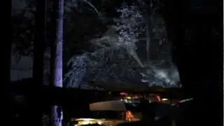 Alfresco Disco - Plantation Woods (Summer 2011)