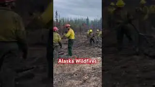 Bone piling on Alaska Wildfire
