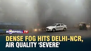 DENSE FOG HITS DELHI-NCR, AIR QUALITY 'SEVERE'