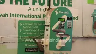 Public EV charging point near Safdarjung Hospital shows real city life