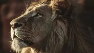 5/5🔥🔥🔥🕊️ВРЕМЯ КАЙРОСА👉 «СЛАВА МОЕГО ЦУНАМИ, ЦАРСТВУЙ!»👈🕊🔥🔥🔥СЛОВО РЕМА НАШЕГО ГОСПОДА🔥🕊️-6021-011426