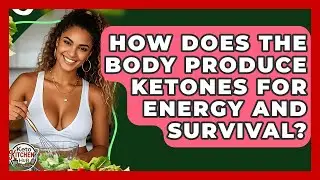How Does The Body Produce Ketones For Energy And Survival? - Keto Kitchen HQ