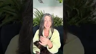 Black magic on your finances - they want to finish what they started 