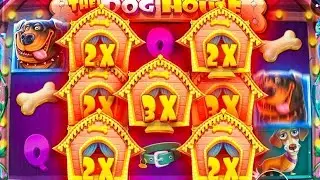 СДЕЛАЛ 1001 СПИН В ОБЫЧНОМ The Dog House И СЛОВИЛ ЗАНОС НЕДЕЛИ ? / ВЫБИВАЕМ БОНУСКИ СО СПИНОВ