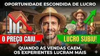 Poucas vendas, LUCRO MAIOR? O que só criadores experientes fazem quando o preço cai