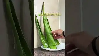How to Make AloeVera Gel at Home?🏠#dailyshorts #skincare #aloevera #homemade #diy #tips #natural