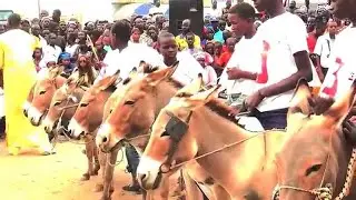 🔴LIVE : COURSE D'ÂNES Thies (Rawante Mbaam)  04 AVRIL 2021
