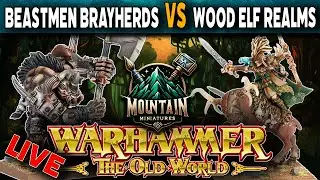 Beastmen Brayherds  VS Wood Elf Realms - Warhammer The Old World Live Battle Report