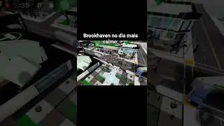 brookhaven no seu dia mais calmo? #memes #fyp
