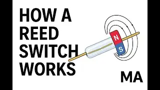 How a Reed Switch Works  Magnetic Sensor Explained with Real Examples