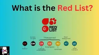 What is the IUCN Red List?
