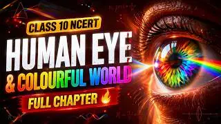 CBSE Class 10 Science - 11 || Human Eye and Colourful World || Full Chapter || by Shiksha House