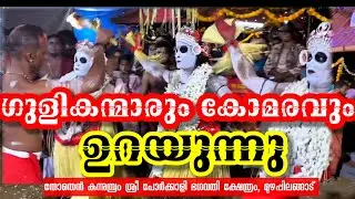 ഗുളികന്മാരുടെ കൂടെ കോമരവും ഉറയുന്നത് കണ്ടോ? | #theyyam #kannur 