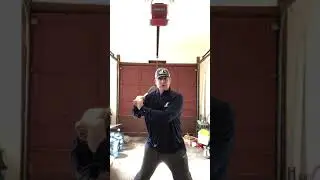 Spine Angle Vs Bat Angle