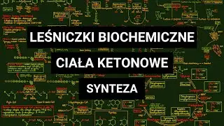 CIAŁA KETONOWE - Synteza w wątrobie