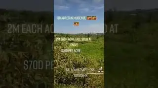 100 ACRES FOR SALE IN UGANDA |price $650 each (2m)